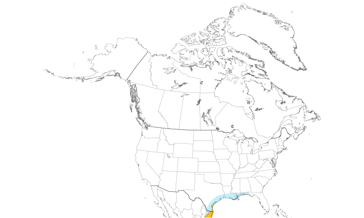 Range Map (North): Buff-bellied Hummingbird