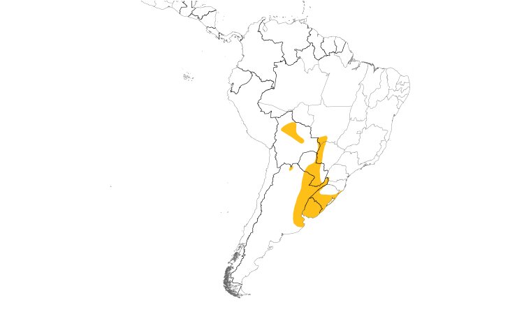 Range Map (South): Scarlet-headed Blackbird