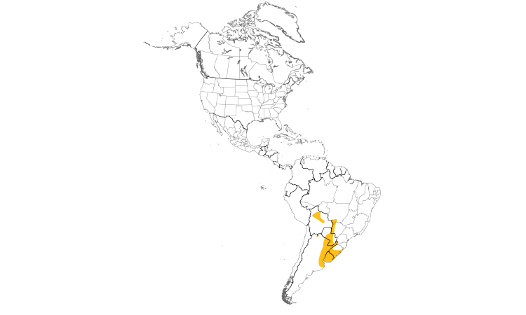 Range Map (Americas): Scarlet-headed Blackbird