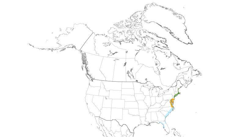 Range Map (North): Saltmarsh Sparrow