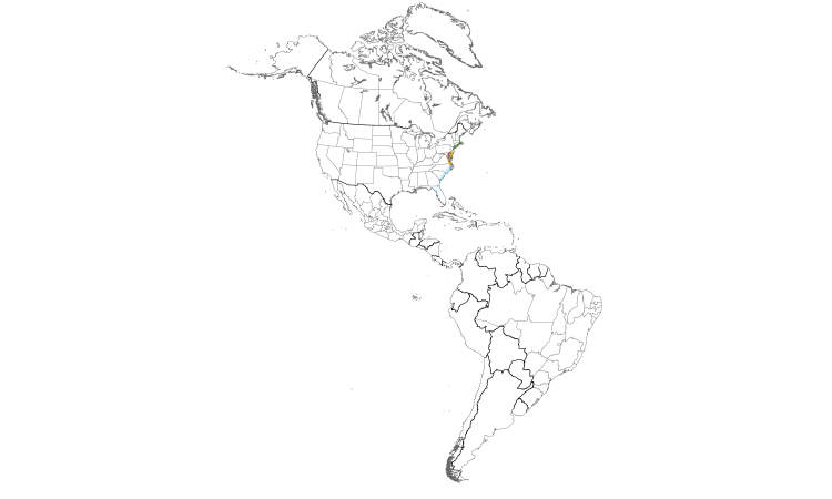 Range Map (Americas): Saltmarsh Sparrow