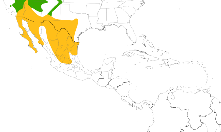 Range Map (Central): Black-throated Sparrow
