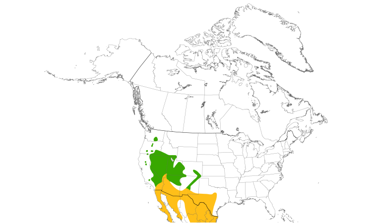 Range Map (North): Black-throated Sparrow