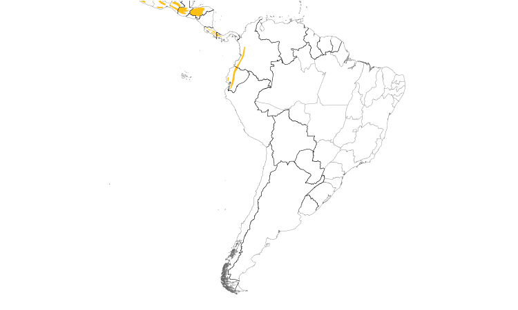Range Map (South): Scaly-throated Foliage-gleaner