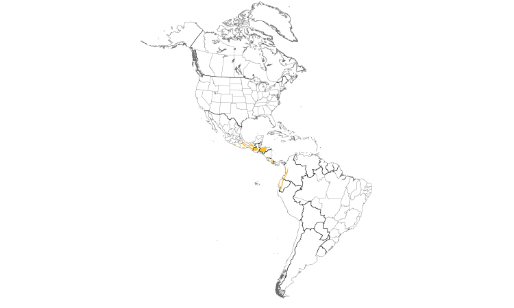 Range Map (Americas): Scaly-throated Foliage-gleaner