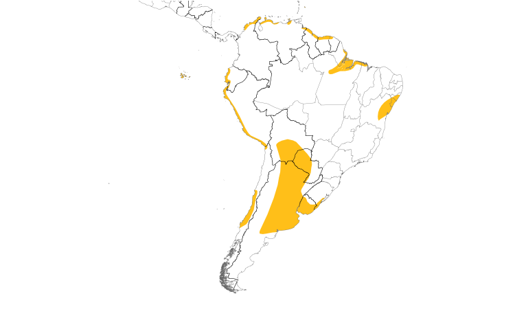 Range Map (South): White-cheeked Pintail