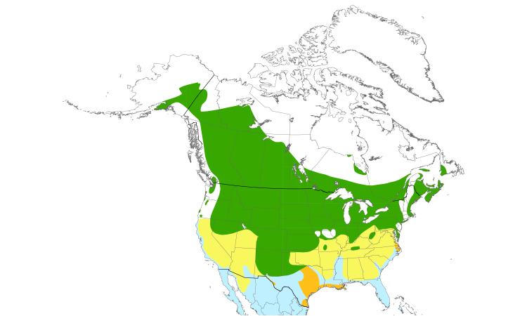 Range Map (North): Blue-winged Teal