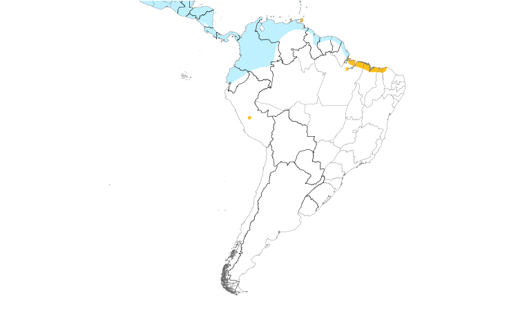 Range Map (South): Blue-winged Teal