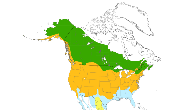 Range Map (North): Mallard