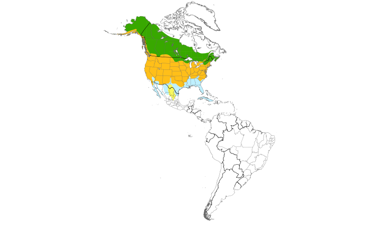 Range Map (Americas): Mallard