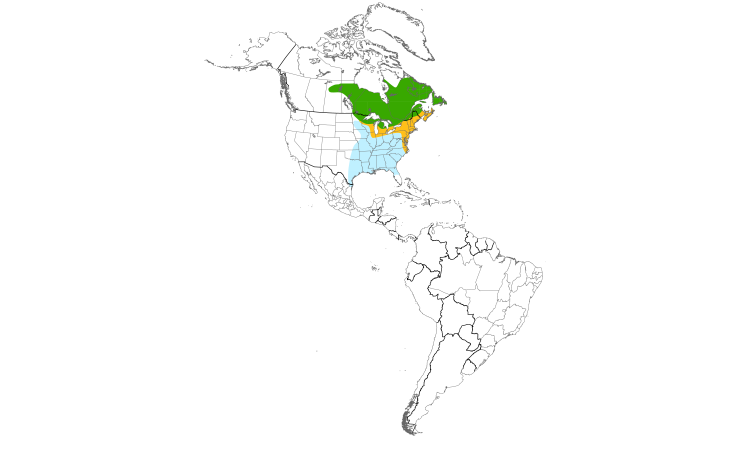 Range Map (Americas): American Black Duck
