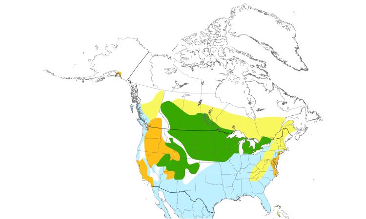 Range Map (North): Gadwall