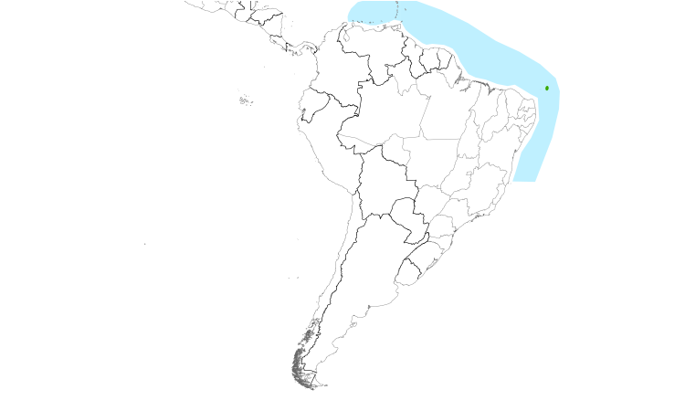 Range Map (South): Black Noddy