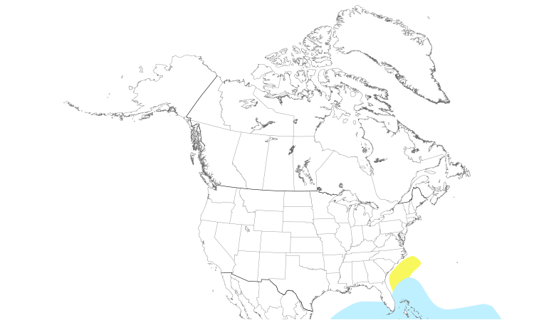 Range Map (North): Brown Noddy