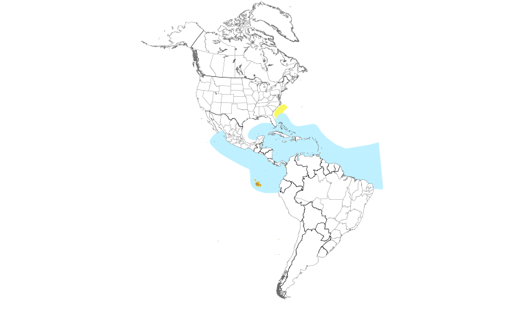 Range Map (Americas): Brown Noddy