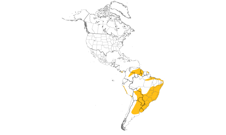 Range Map (Americas): Yellowish Pipit
