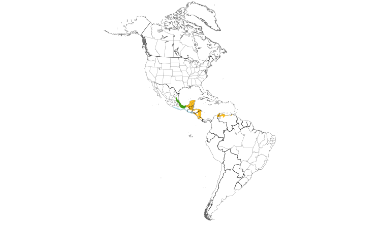 Range Map (Americas): Green-breasted Mango