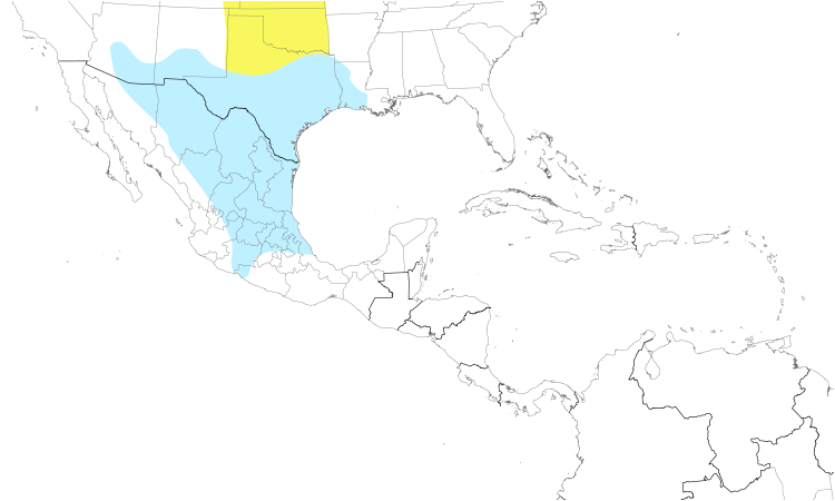 Range Map (Central): Sprague's Pipit
