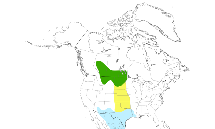 Range Map (North): Sprague's Pipit