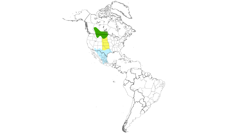 Range Map (Americas): Sprague's Pipit