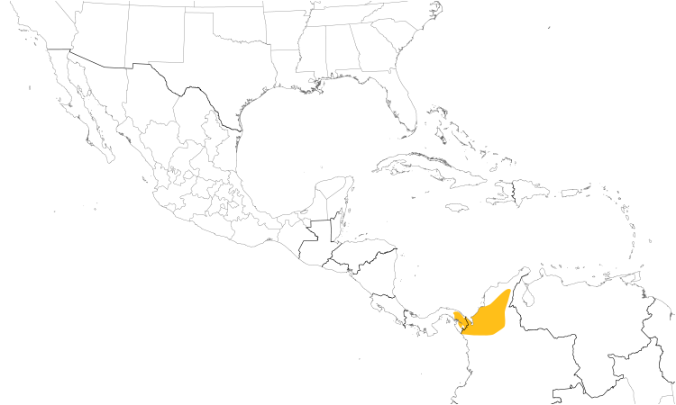 Range Map (Central): Black-billed Flycatcher