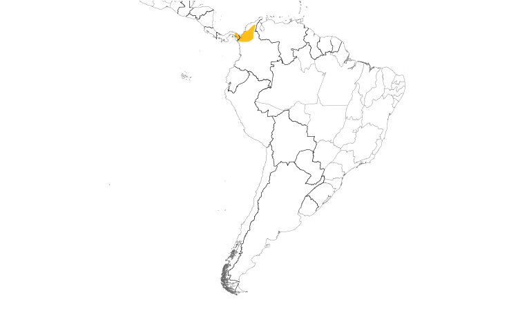 Range Map (South): Black-billed Flycatcher