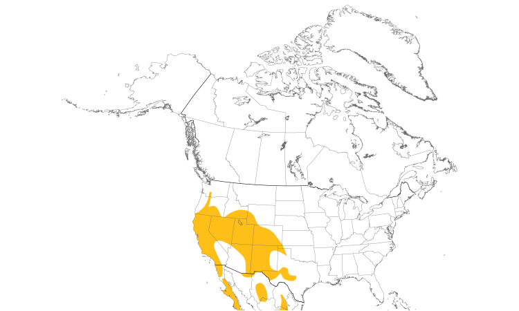 Range Map (North): Western Scrub-Jay