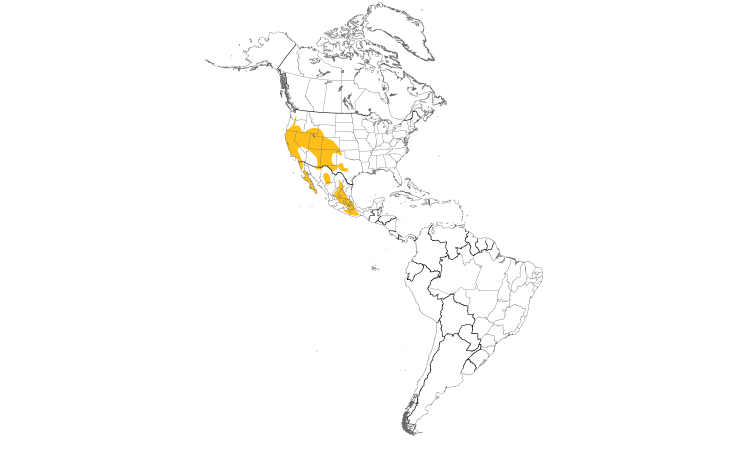 Range Map (Americas): Western Scrub-Jay