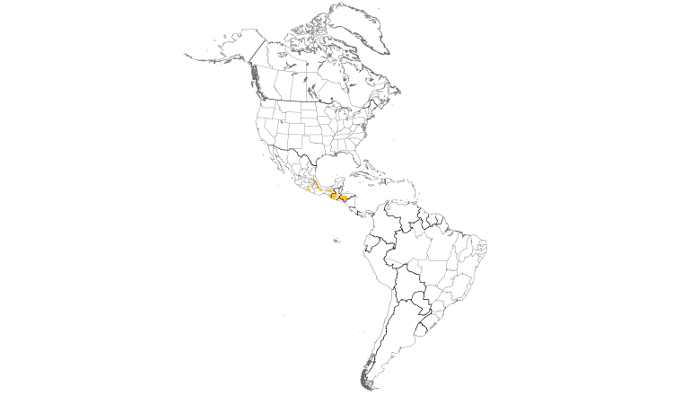 Range Map (Americas): Unicolored Jay
