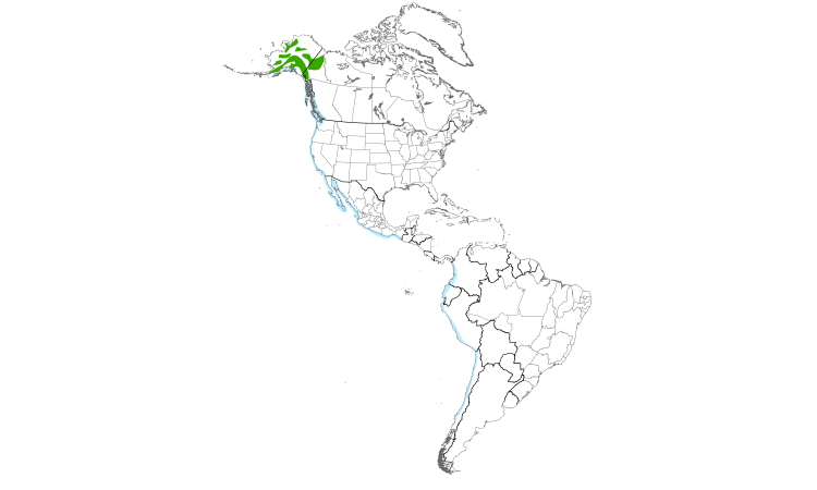 Range Map (Americas): Surfbird