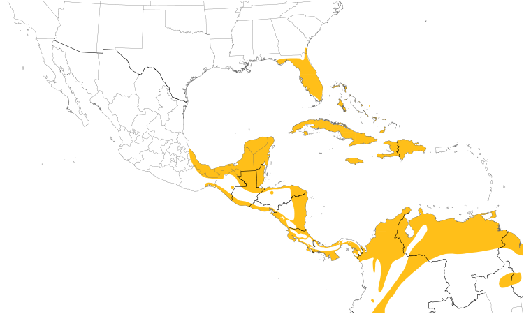 Range Map (Central): Limpkin