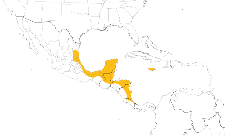 Range Map (Central): Olive-throated Parakeet