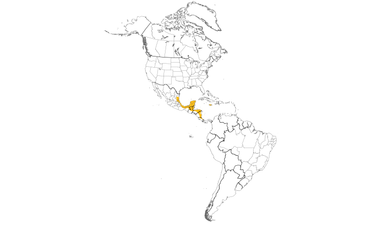 Range Map (Americas): Olive-throated Parakeet