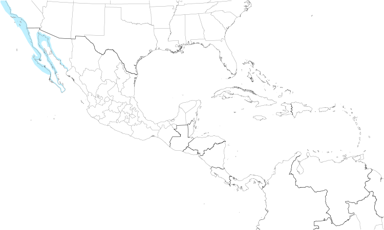 Range Map (Central): Black Turnstone