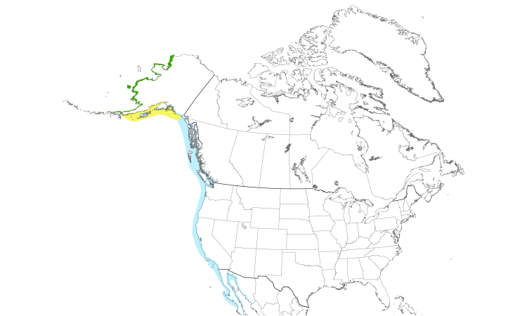 Range Map (North): Black Turnstone
