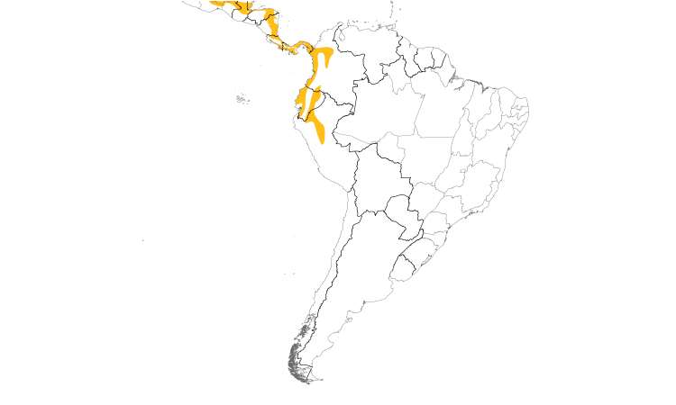 Range Map (South): Orange-billed Sparrow