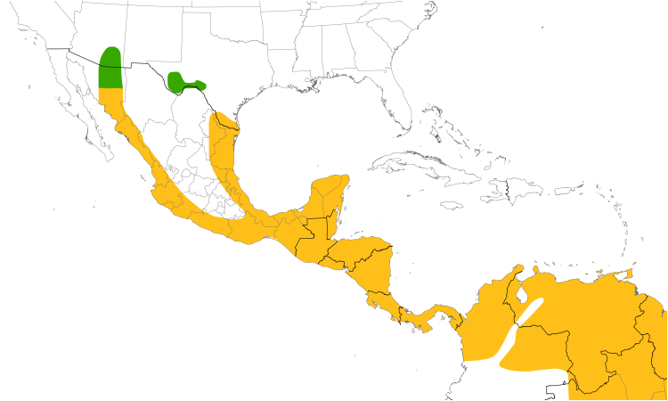 Range Map (Central): Gray-lined Hawk