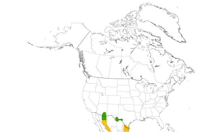 Range Map (North): Gray-lined Hawk