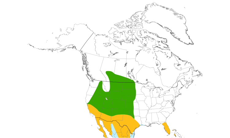 Range Map (North): Burrowing Owl
