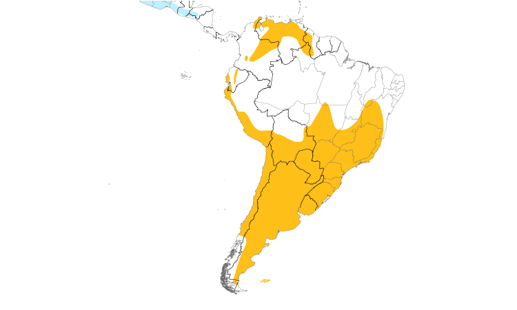 Range Map (South): Burrowing Owl