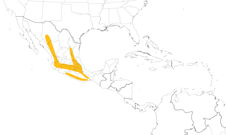 Range Map (Central): Rufous-capped Brush-Finch