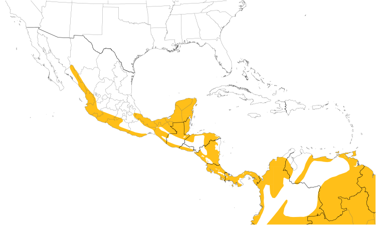 Range Map (Central): Bright-rumped Attila