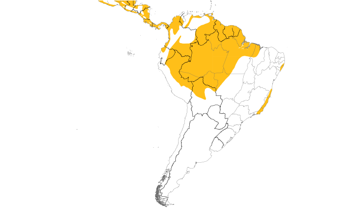 Range Map (South): Bright-rumped Attila