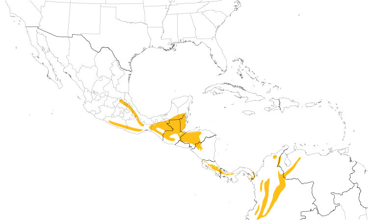 Range Map (Central): Emerald Toucanet