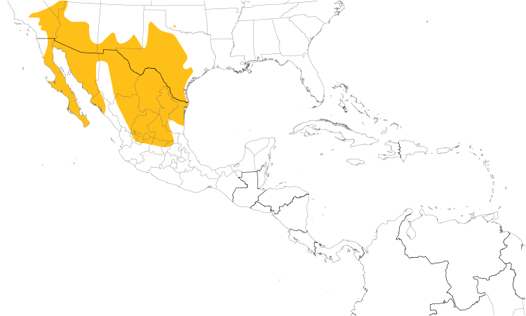 Range Map (Central): Verdin