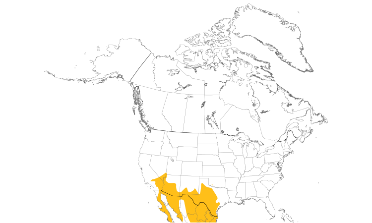 Range Map (North): Verdin