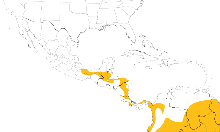 Range Map (Central): Buff-throated Foliage-gleaner