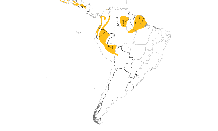 Range Map (South): Ruddy Foliage-gleaner