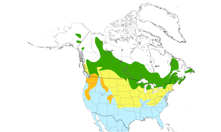 Range Map (North): Ring-necked Duck