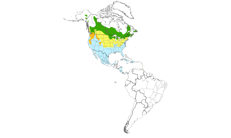 Range Map (Americas): Ring-necked Duck